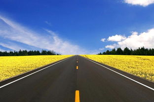 高速公路堵車，村民坐地起價收“過路費” 應(yīng)急通道豈能成“生財之道”？