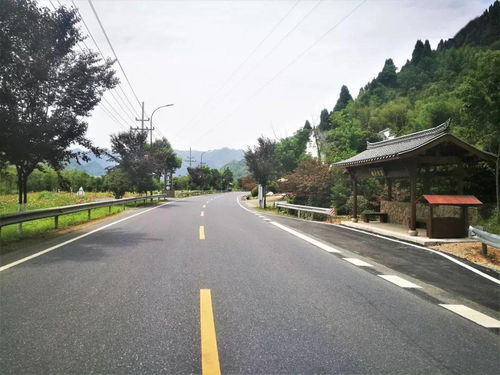臨安公路榮膺省級綠化美化精品道路，橋梁藝術(shù)融入生態(tài)長廊